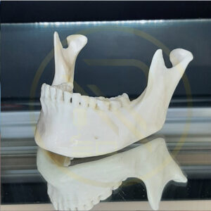 پرینت سه بعدی مدل فک و دندان و تجهیزات پزشکی و مهندسی پزشکی بسیار کارآمد است