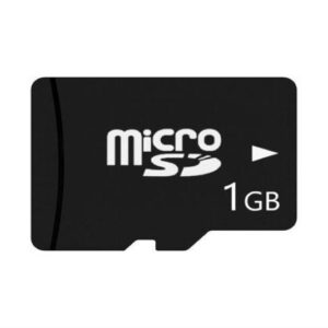 کارت حافظه میکرو اس دی 1GB